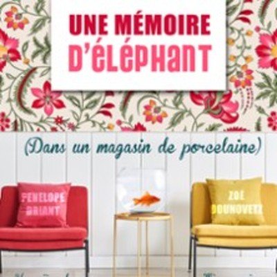 Mémoire D'éléphant dans un Magasin