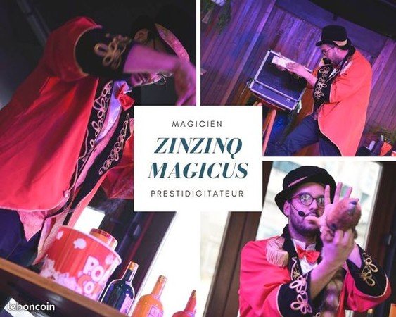 Monsieur Magicus - Spectacle de magie pour vos évènements (Noel, C.E, asso...) 