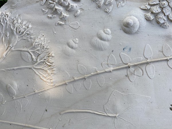 "MON HERBIER EN PLÂTRE "