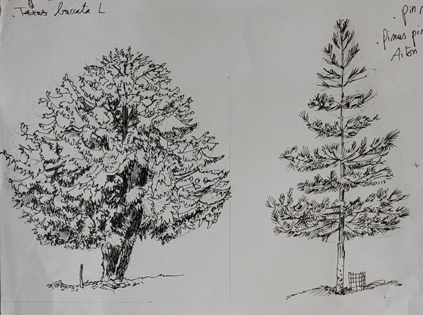 Stage de dessin du paysage