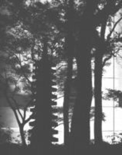 Stage d’été VOIX du CORPS dans la forêt (20-23 juillet)