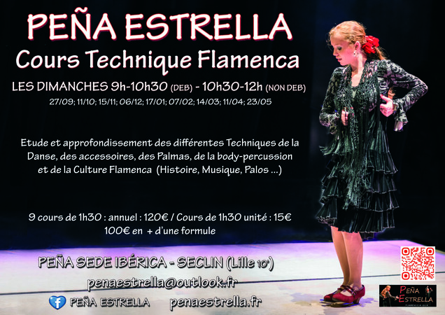 Stages de danse Flamenco: Technique