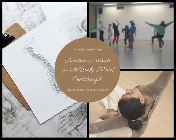 Milla Vigo Tamara - Anatomie Vivante Niveau 1/ formation BMC