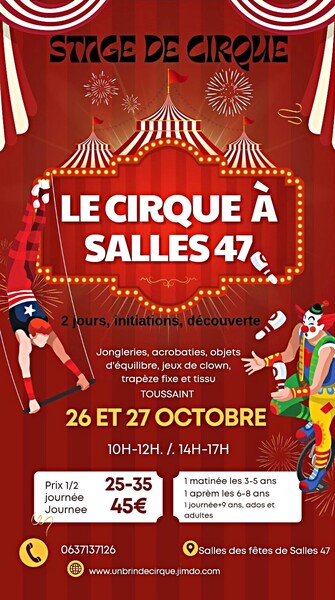 Stage de cirque :