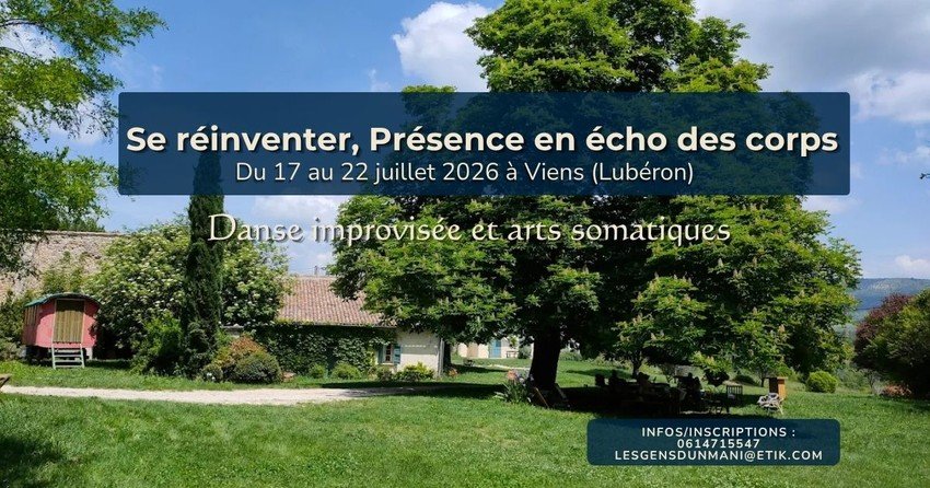 Stage d'été 2026 – Danse improvisation et arts somatiques