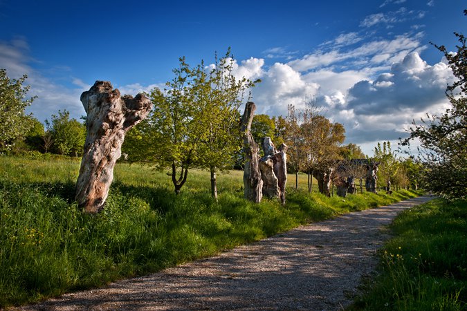 Les trois chemins/Chemin des Trognes