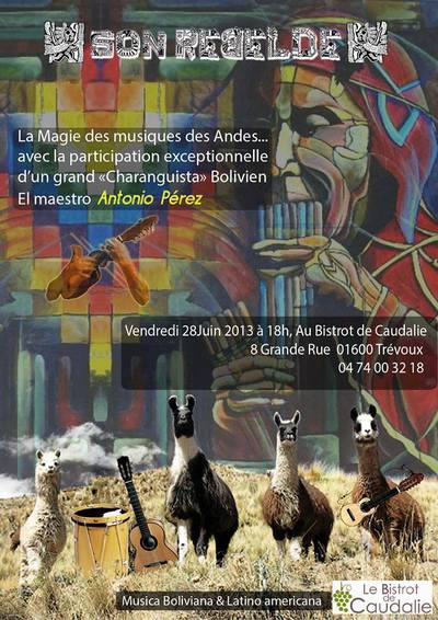son rebelde musqiue Latino americaine et tradicionnelle andine