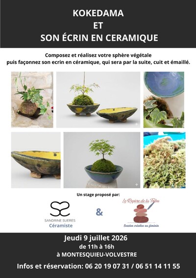 Stage Kokedama et son écrin en céramique