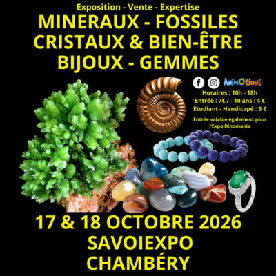 7ème Salon Minéraux Fossiles + Expo Dinomania