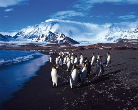 Connaissance du Monde "Patagonie - Cap Horn - Géorgie du Sud"