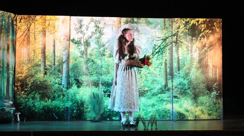Cie Max'music - La Légende du Sorcier de la Forêt (LSF) / spectacle musical