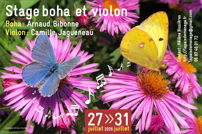 Stage de boha avec Arnaud Bibonne