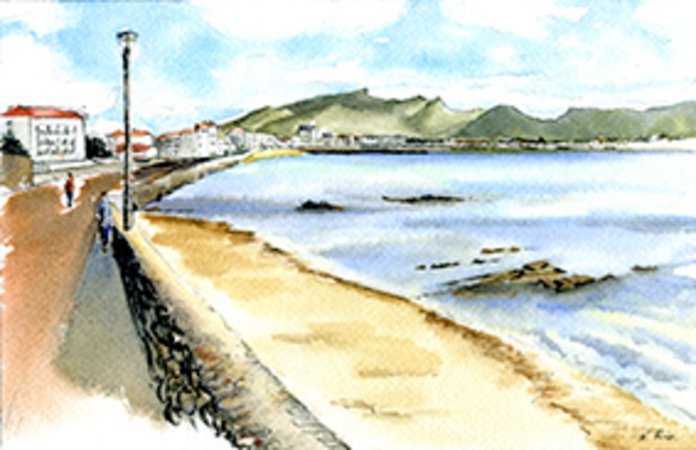 Le pinceau à plumes - Stage d'aquarelle créative