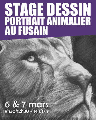 Stage de portrait animalier au fusain