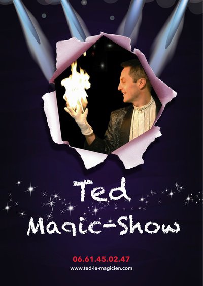 Ted Magic-Show - Magicien, Arbre de Noël etc...