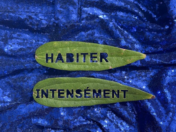 Habiter intensément (CHANTIER DES AUTEUR·ICES)