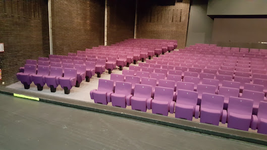 Photo de Théâtre Victor-Hugo