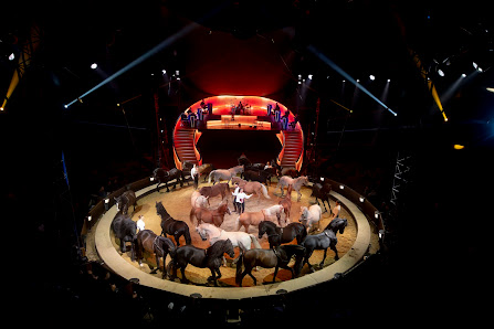 Photo de Les Folies Gruss