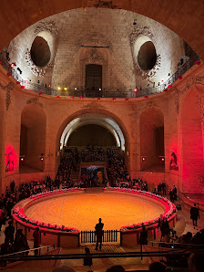 Photo de Grandes Écuries du Château de Chantilly
