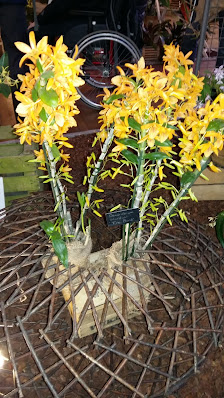 Photo de Salle des Fêtes