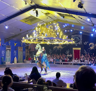 Photo de Théâtre Équestre Camarguais