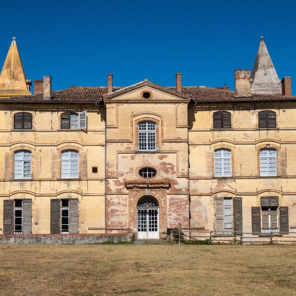 Photo de Château de Bonrepos-Riquet