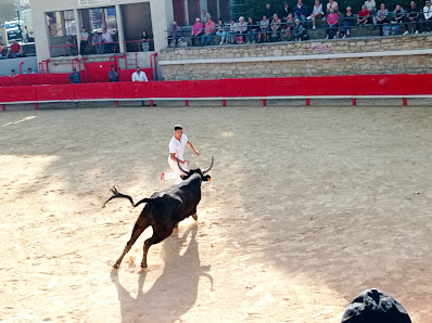 Photo de Les Arènes de Vallabrègues