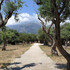 Agenda de Parc du Cap Martin