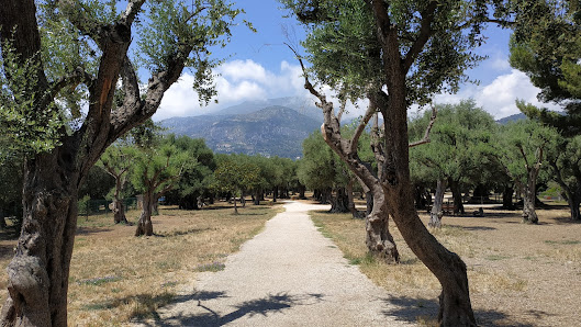 Photo de Parc du Cap Martin