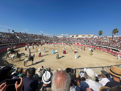Photo de Arènes du Grau-du-Roi