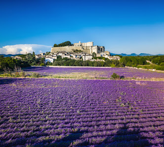 Photo de Château de Grignan