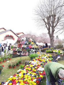 Photo de Manège Ordener