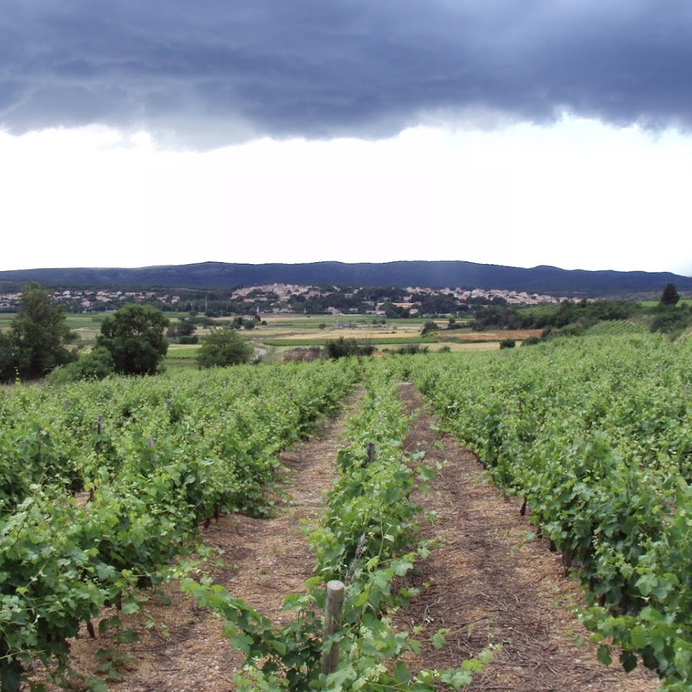Photo de Domaine Croix Saint-Julien