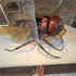 Agenda de Galerie Goralsky