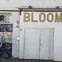 Agenda de Le Bloom