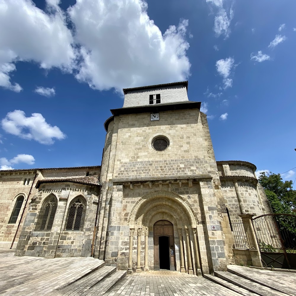 Photo de Collégiale Saint-Vincent