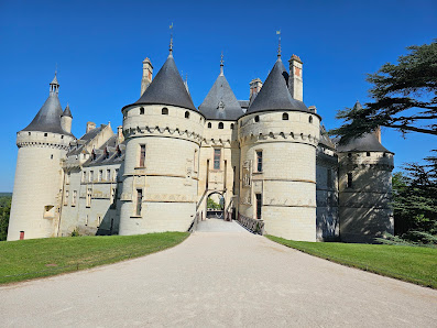 Photo de Château de Chaumont-sur-Loire