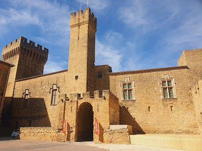 Photo de Château de l'Empéri