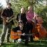 jazz manouche, jazz swing  - Image 3