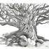 Bernard Maignan - Cours de dessin et peinture 