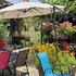 Ferme aux Mille Lumières Savourez nos glaces à L'Italienne - Image 2