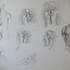 Atelier Rosenbach - Dessinez le corps humain - Image 4