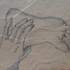 Delphine Pellizzer - Cours particulier de dessin / peinture - Image 3