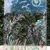 Stage CREATION SUR VERRE  - Image 8