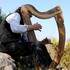 Christophe GUILLEMOT joue et fabrique ses harpes celtiques   - Image 3