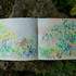 Stage de croquis au Jardin des Plantes - Image 3
