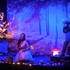 A Pas de Loup - Spectacle musical et visuel en lien avec la forêt dès 3 mois - Image 4