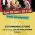 FESTIVAL DU THEATRE AMATEUR A PLOEREN - Image 8