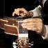 Isabel et Sauveur  - Cours de Guitare blues pop rock musiques actuelles - Image 2