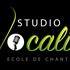 STUDIO VOCALITY - COURS DE CHANT